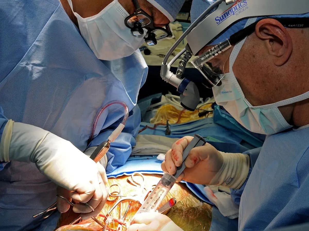 Endartériectomie carotidienne : chirurgien vasculaire opérant sous loupes