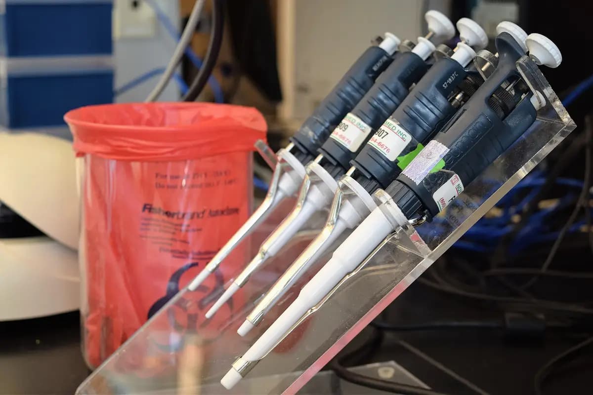 Micropipettes de laboratoire sur leur support